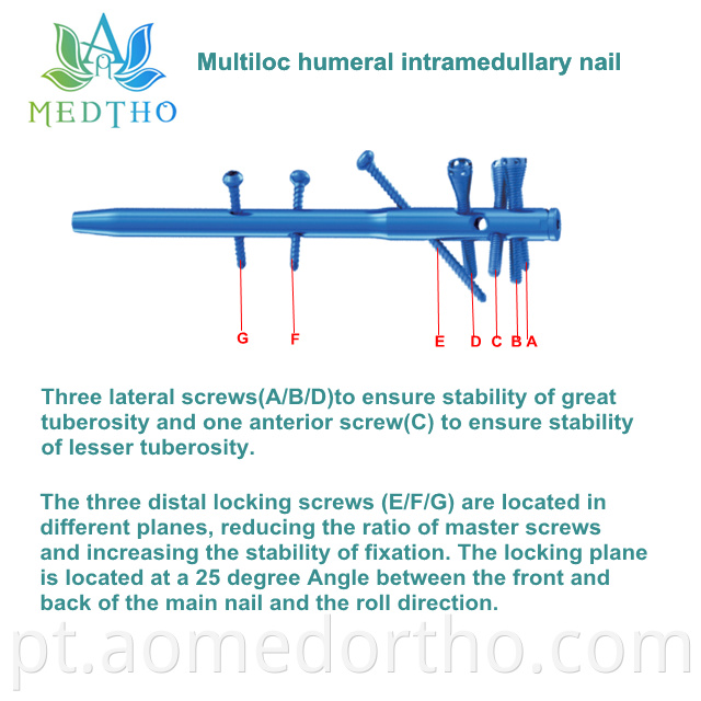 multiloc intramedullary nail
